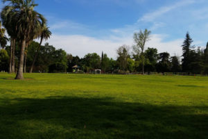 Lacy Park