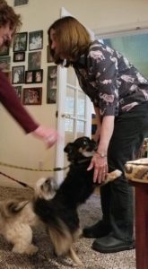 Sandy let the dogs out!